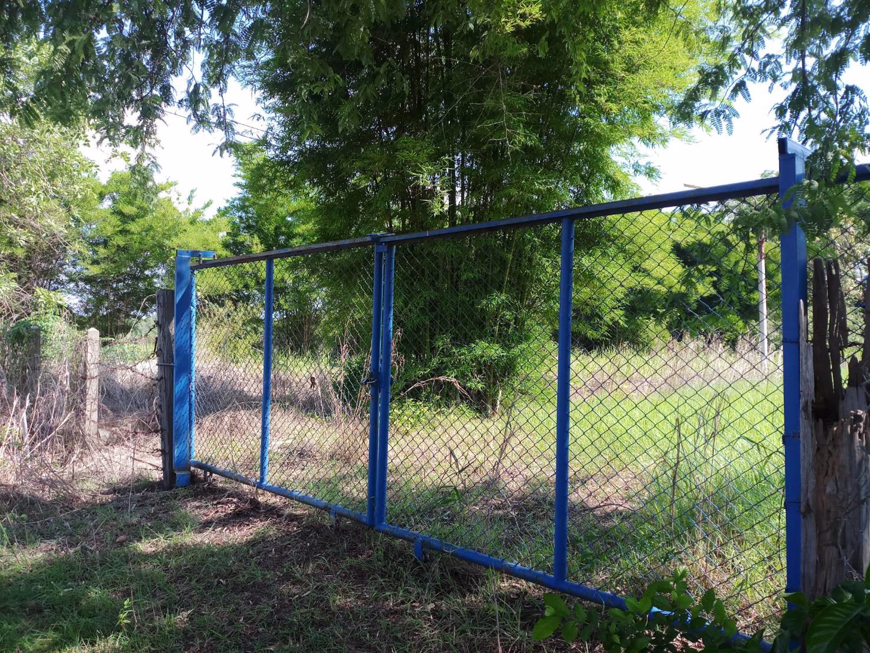 ี่ขายที่ดิน-บ้านผือ-ใกล้ถนนเลี่ยงเมือง-บิ๊กซี-2