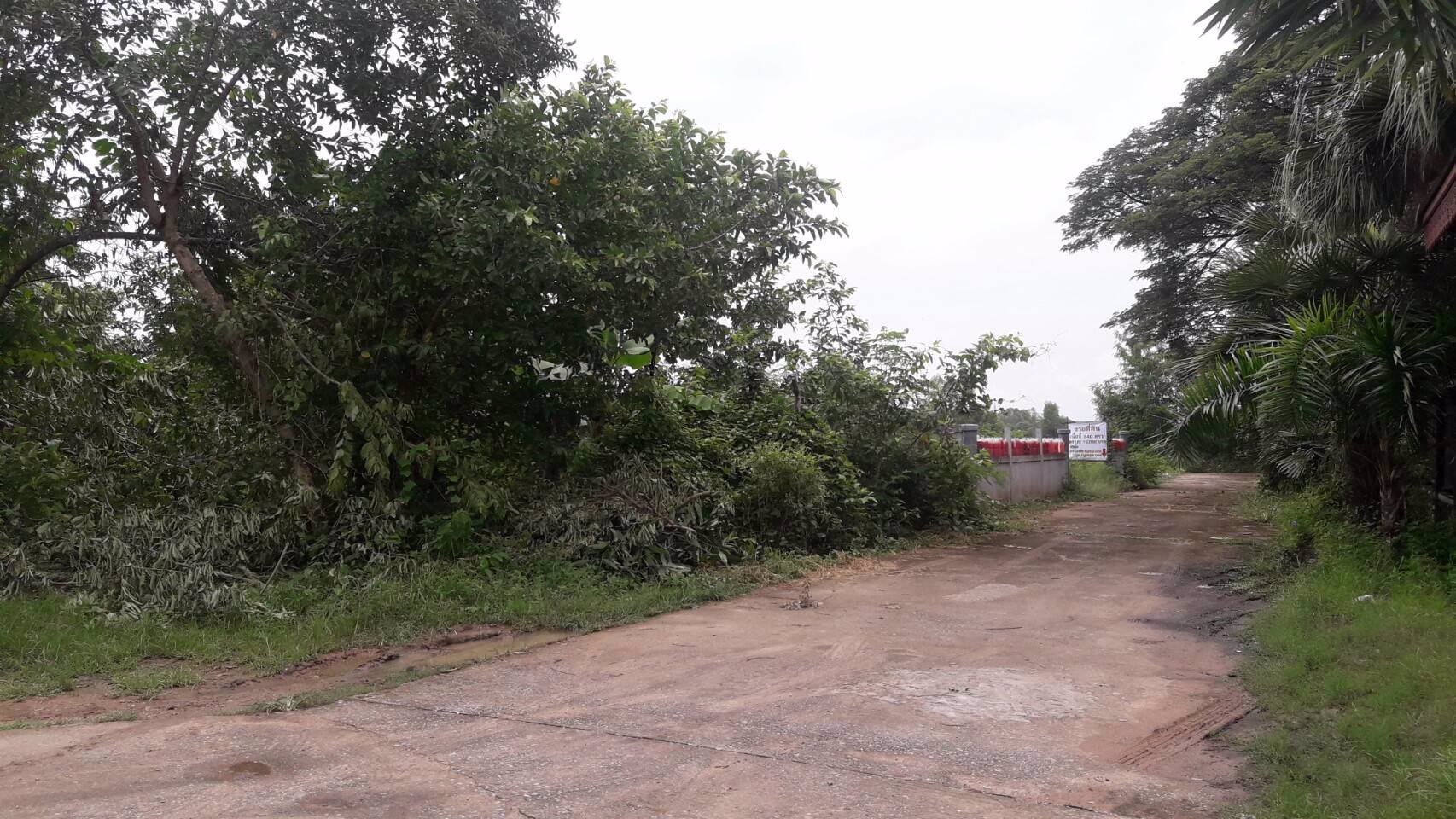 ขายที่ดิน-1งาน-มกล้ราชมงคลอีสาน-ศรีจันทร์-39