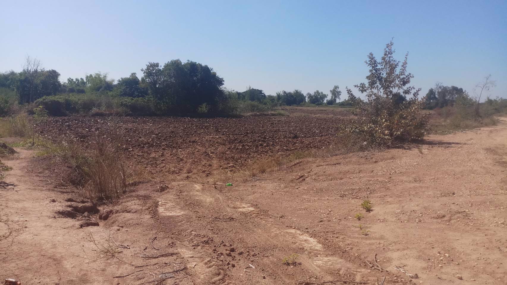 ขายที่ดิน-ติดแม่น้ำชี-บ้านเหล่านกชุม