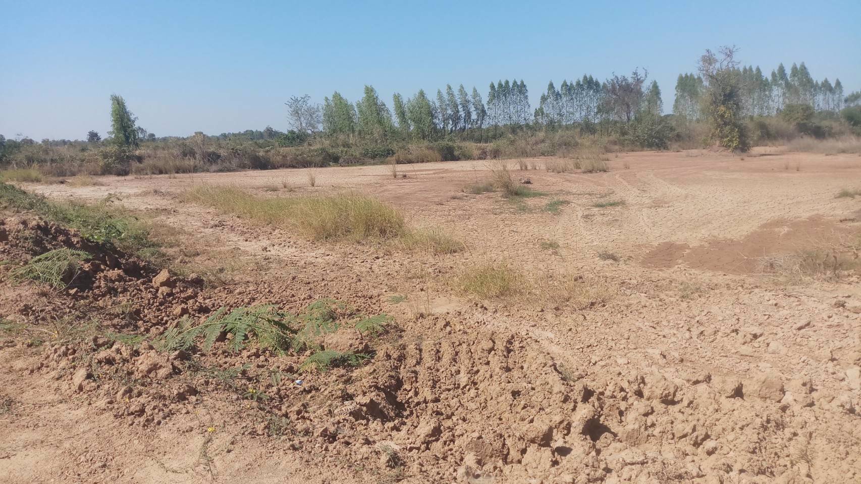 ขายที่ดิน-ติดแม่น้ำชี-บ้านเหล่านกชุม