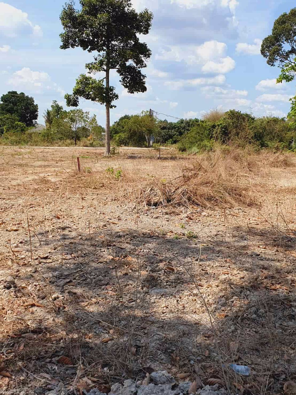 ที่ดิน-แบ่งขายแปลงละ-1-ไร่-ตำบลป่าขะ-อำเภอบ้านนา-จังหวัดนครนายก