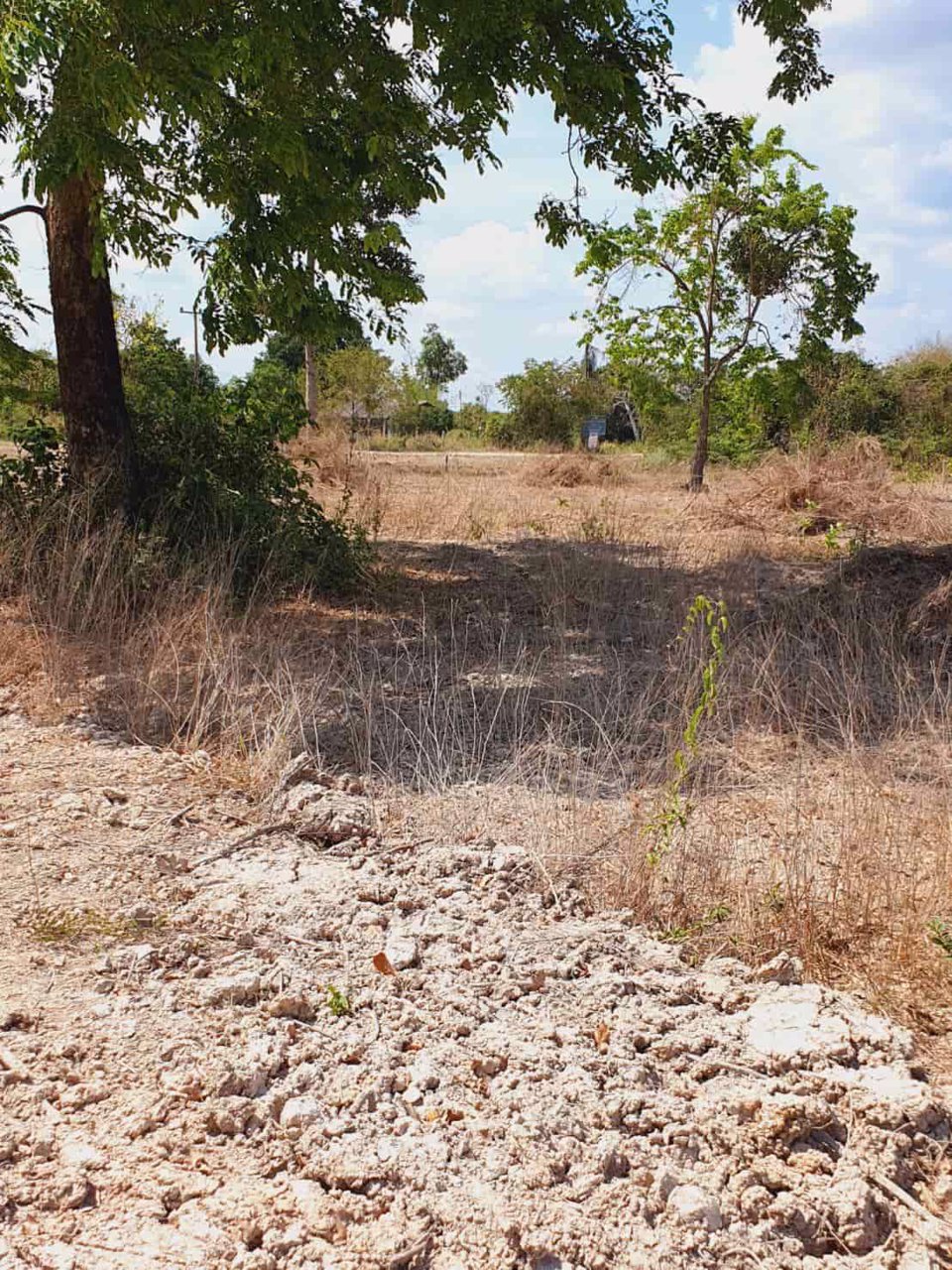 ที่ดิน-แบ่งขายแปลงละ-1-ไร่-ตำบลป่าขะ-อำเภอบ้านนา-จังหวัดนครนายก