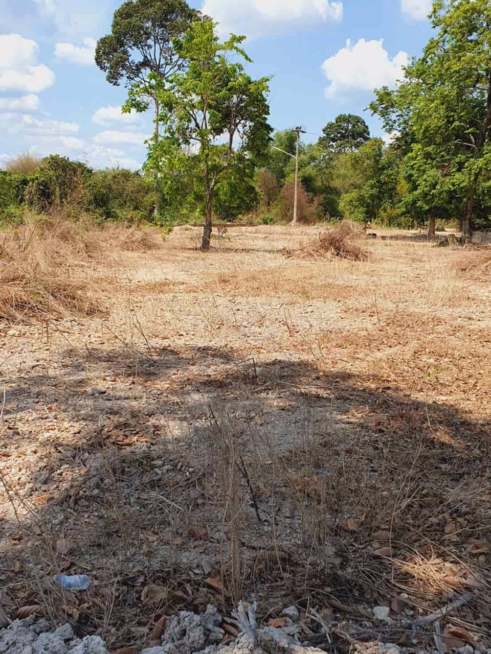ที่ดิน-แบ่งขายแปลงละ-1-ไร่-ตำบลป่าขะ-อำเภอบ้านนา-จังหวัดนครนายก