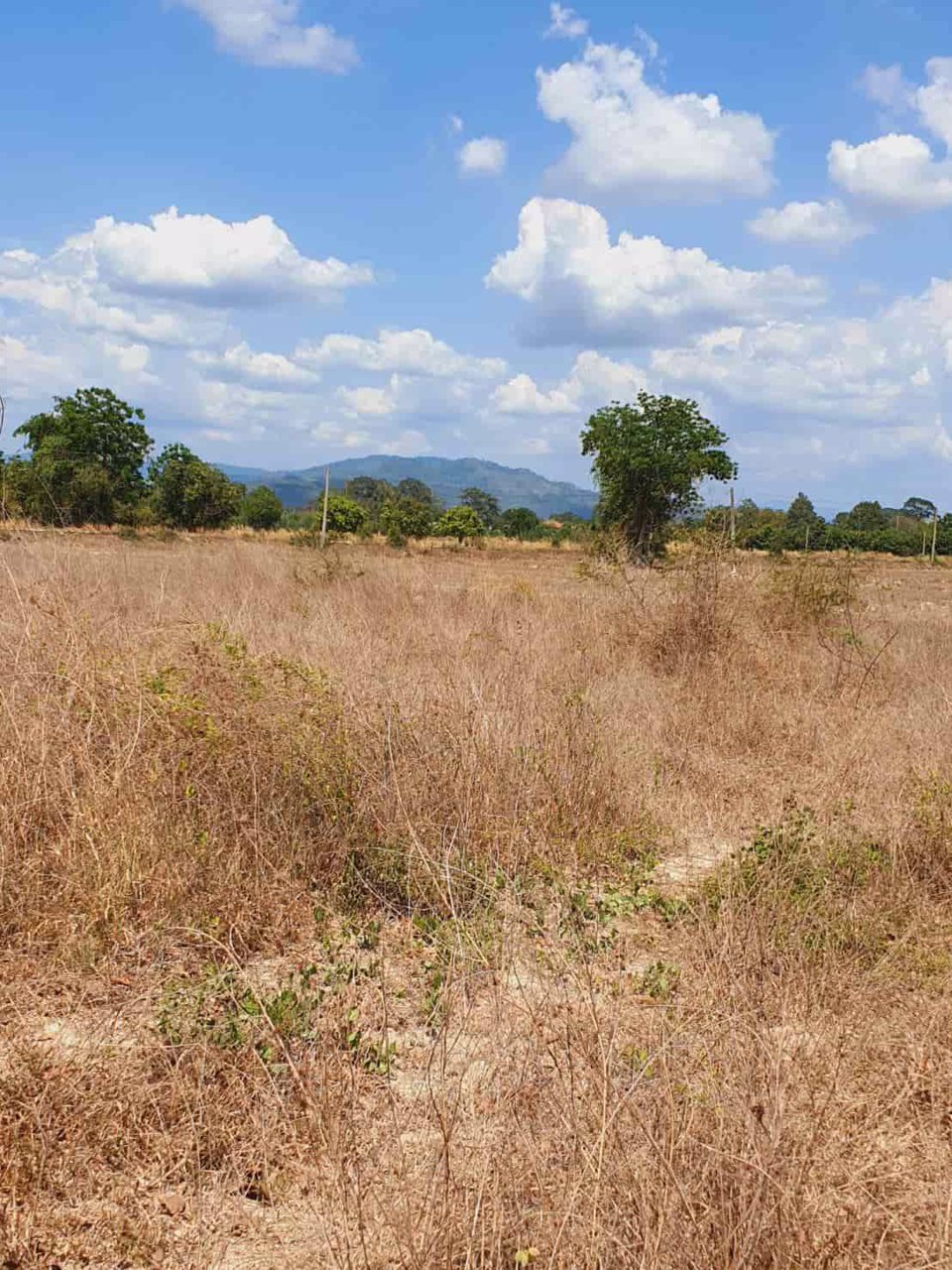 ที่ดิน-แบ่งขายแปลงละ-1-ไร่-ตำบลป่าขะ-อำเภอบ้านนา-จังหวัดนครนายก