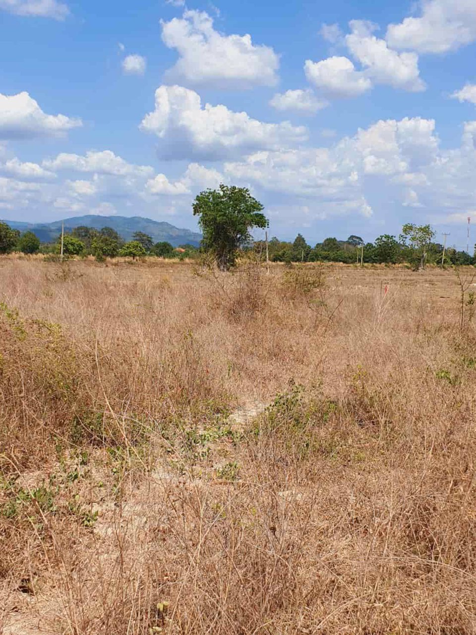 ที่ดิน-แบ่งขายแปลงละ-1-ไร่-ตำบลป่าขะ-อำเภอบ้านนา-จังหวัดนครนายก