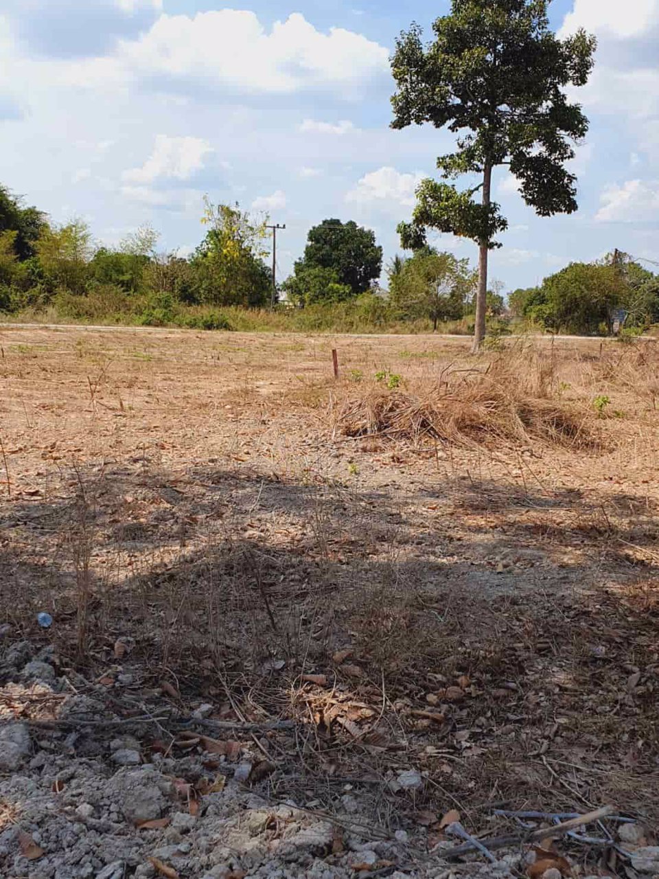 ที่ดิน-แบ่งขายแปลงละ-1-ไร่-ตำบลป่าขะ-อำเภอบ้านนา-จังหวัดนครนายก