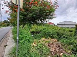 vายที่ดินเปล่าหนองแขม-สวัสดิการ1-เพชรเกษม77-แขวงหนองค้างพลู-เขตหนองแขม-กรุงเทพ