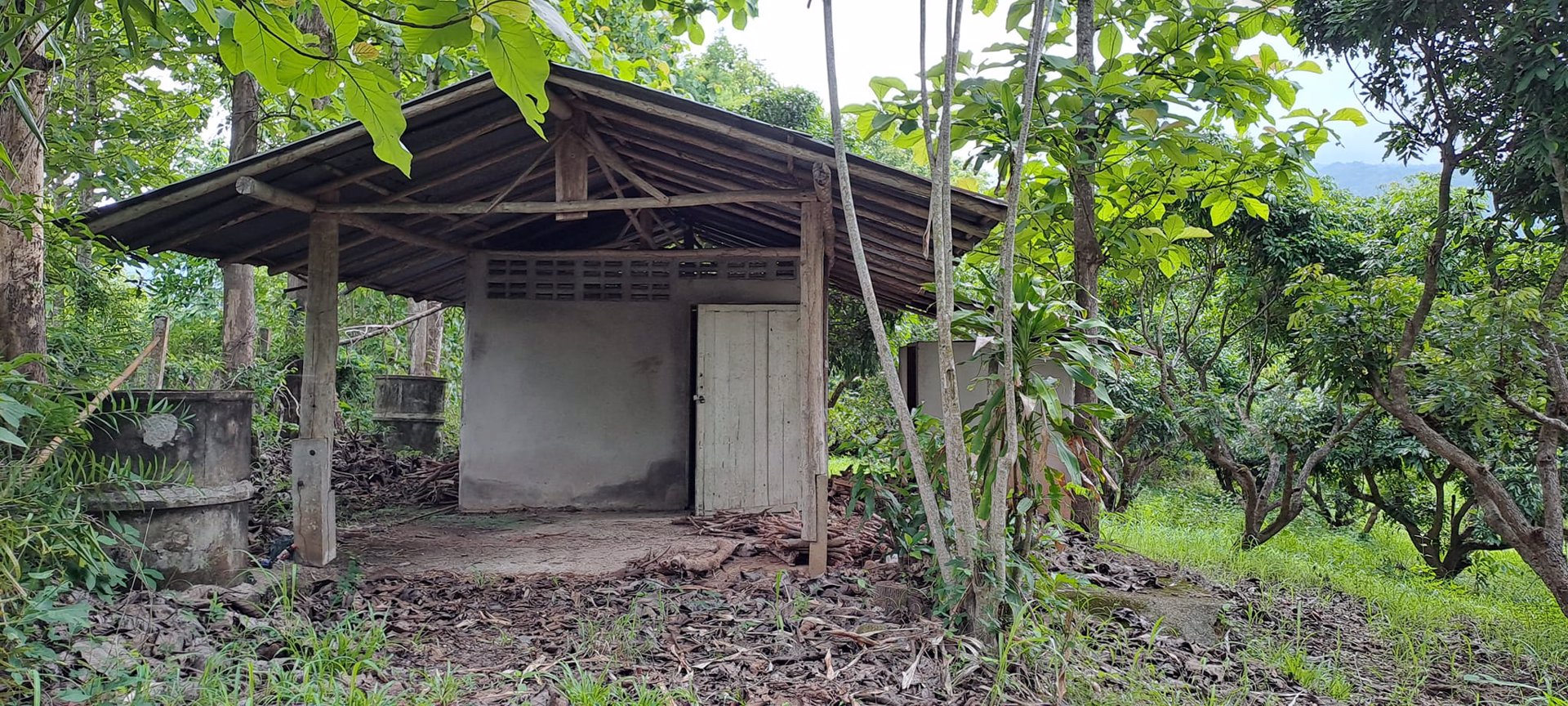 ขายที่ดิน-โฉนดครุฑแดง-พร้อมโอน-ที่สวยมากๆ-เนื้อที่รวม-3ไร่-2งาน-26ตรว