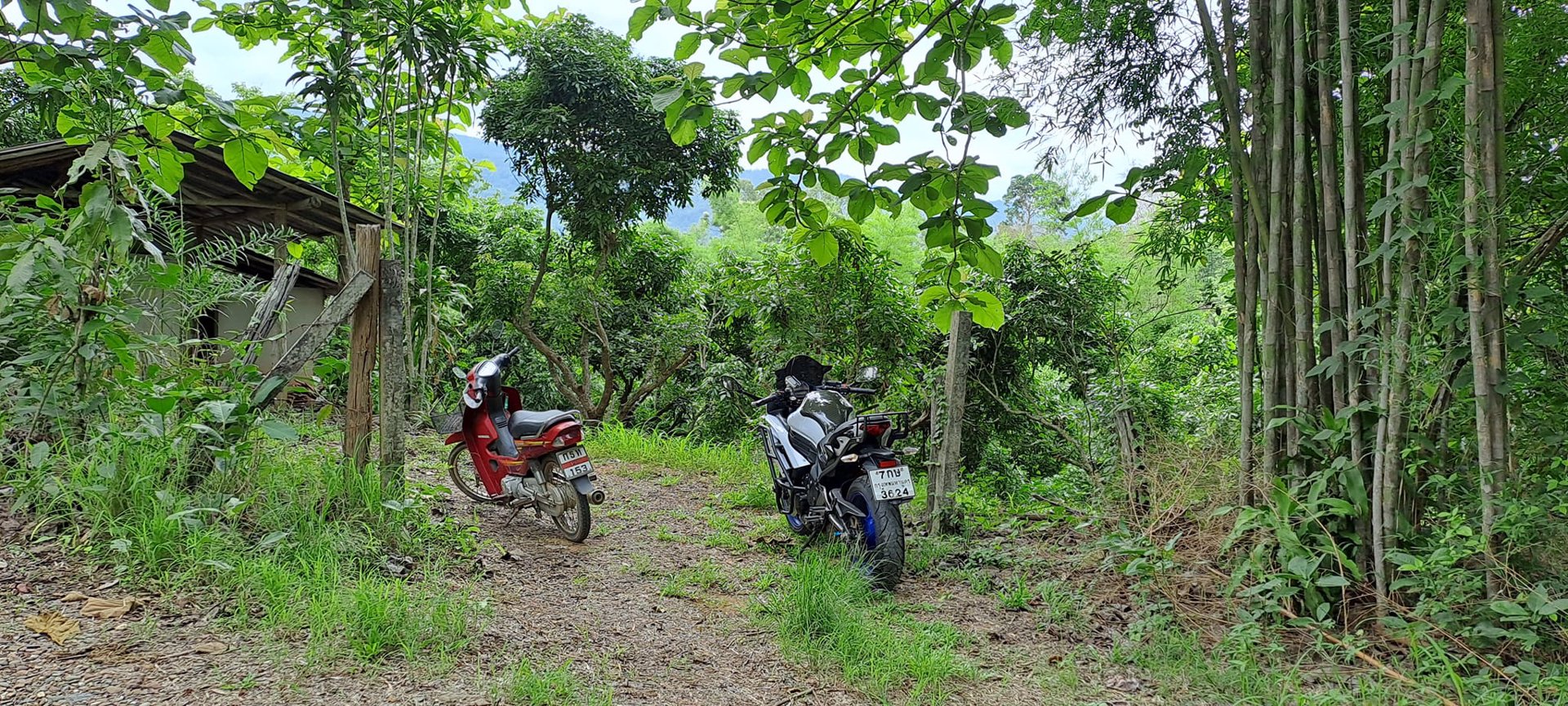 ขายที่ดิน-โฉนดครุฑแดง-พร้อมโอน-ที่สวยมากๆ-เนื้อที่รวม-3ไร่-2งาน-26ตรว