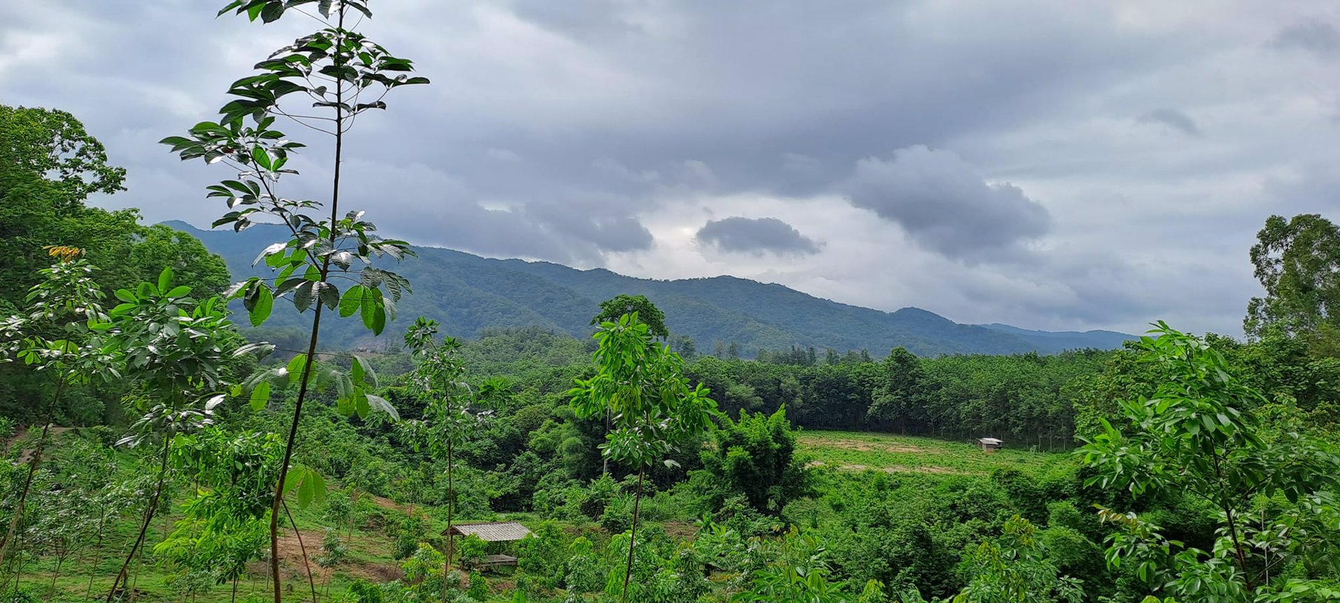 ขายที่ดิน-โฉนดครุฑแดง-พร้อมโอน-ที่สวยมากๆ-เนื้อที่รวม-3ไร่-2งาน-26ตรว