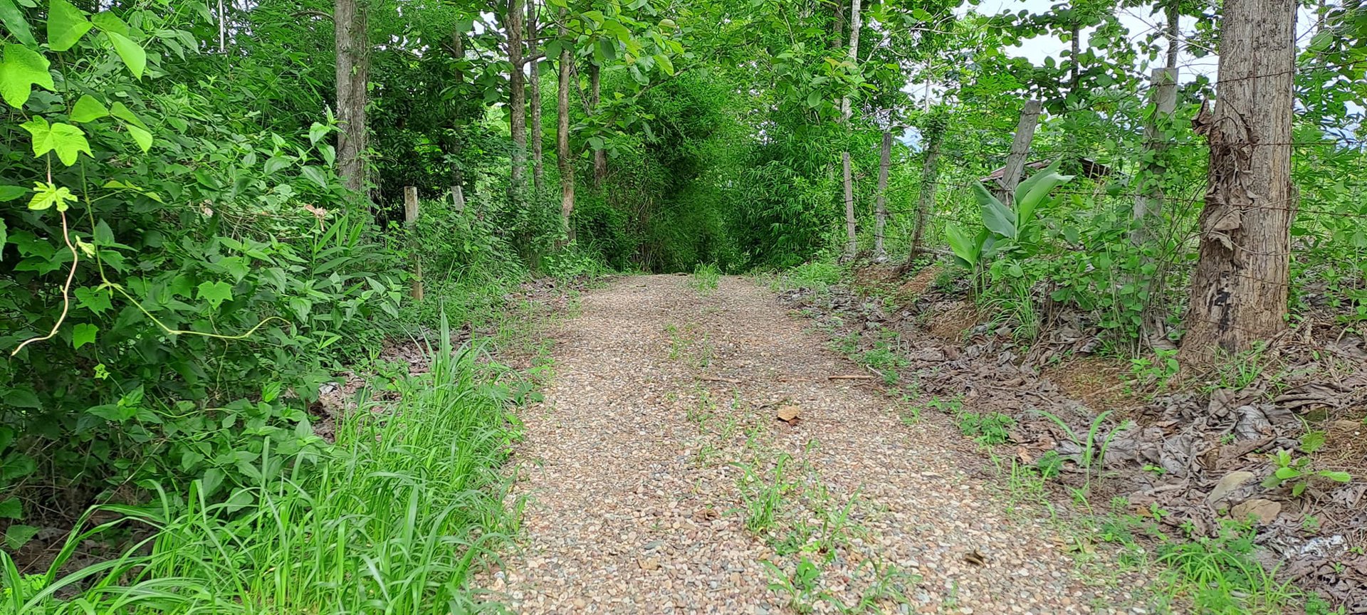 ขายที่ดิน-โฉนดครุฑแดง-พร้อมโอน-ที่สวยมากๆ-เนื้อที่รวม-3ไร่-2งาน-26ตรว