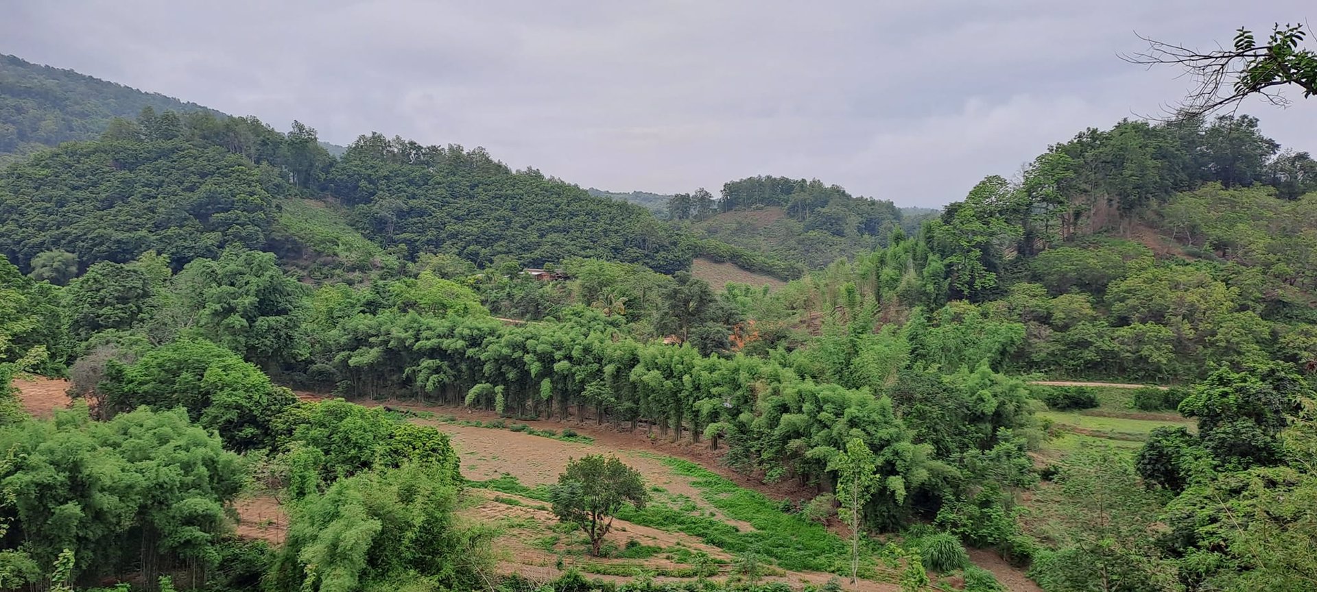 ขายที่ดิน-โฉนดครุฑแดง-วิวภูเขา-เนื้อที่-3ไร่-3งาน-35ตรว