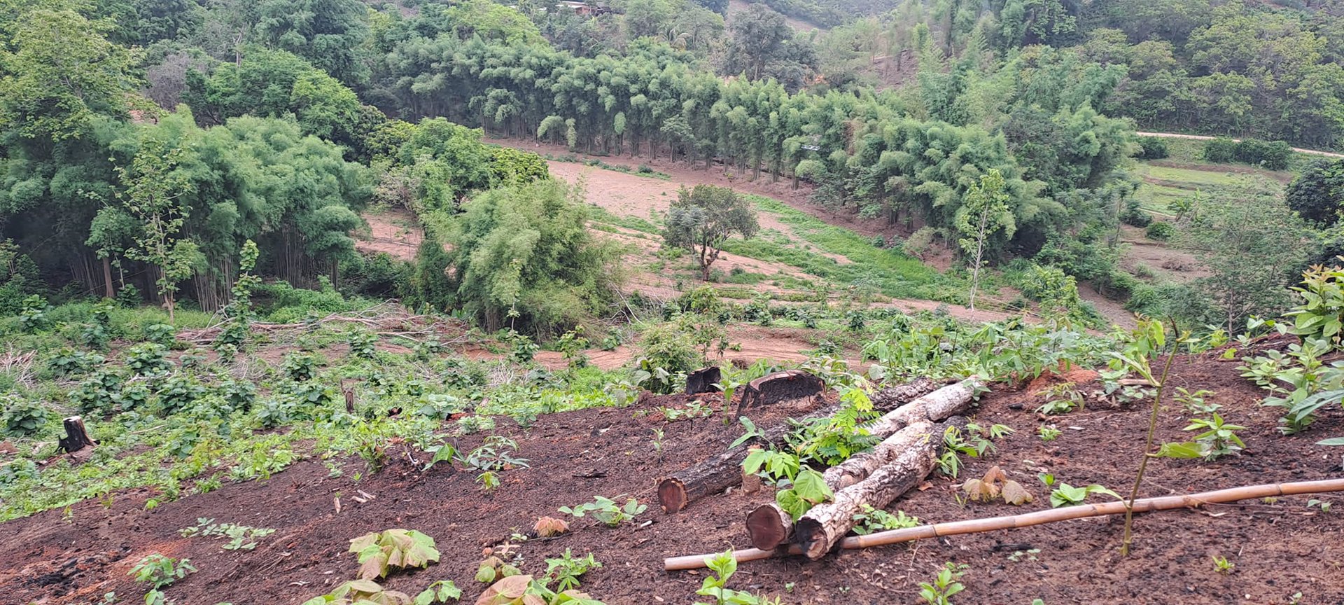 ขายที่ดิน-โฉนดครุฑแดง-วิวภูเขา-เนื้อที่-3ไร่-3งาน-35ตรว