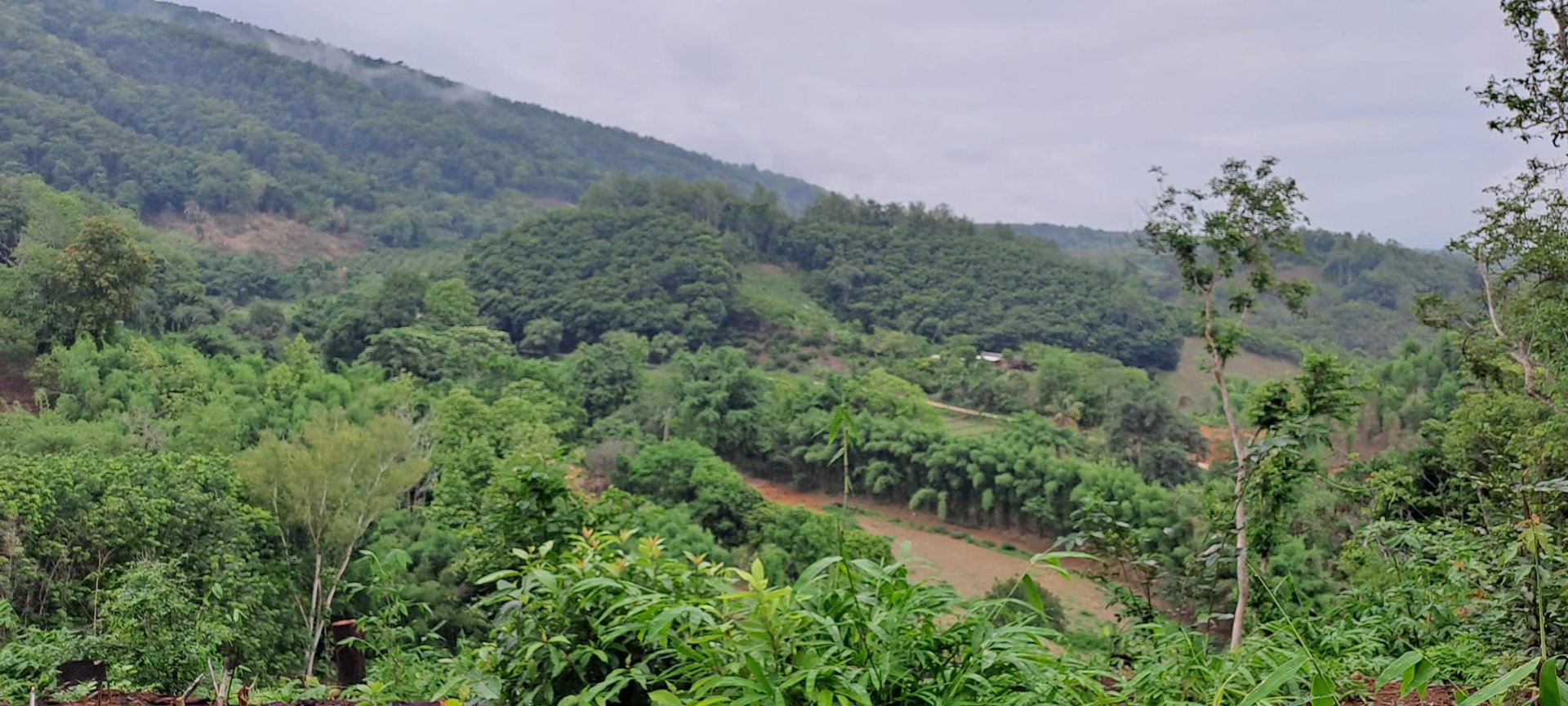 ขายที่ดิน-โฉนดครุฑแดง-วิวภูเขา-เนื้อที่-3ไร่-3งาน-35ตรว