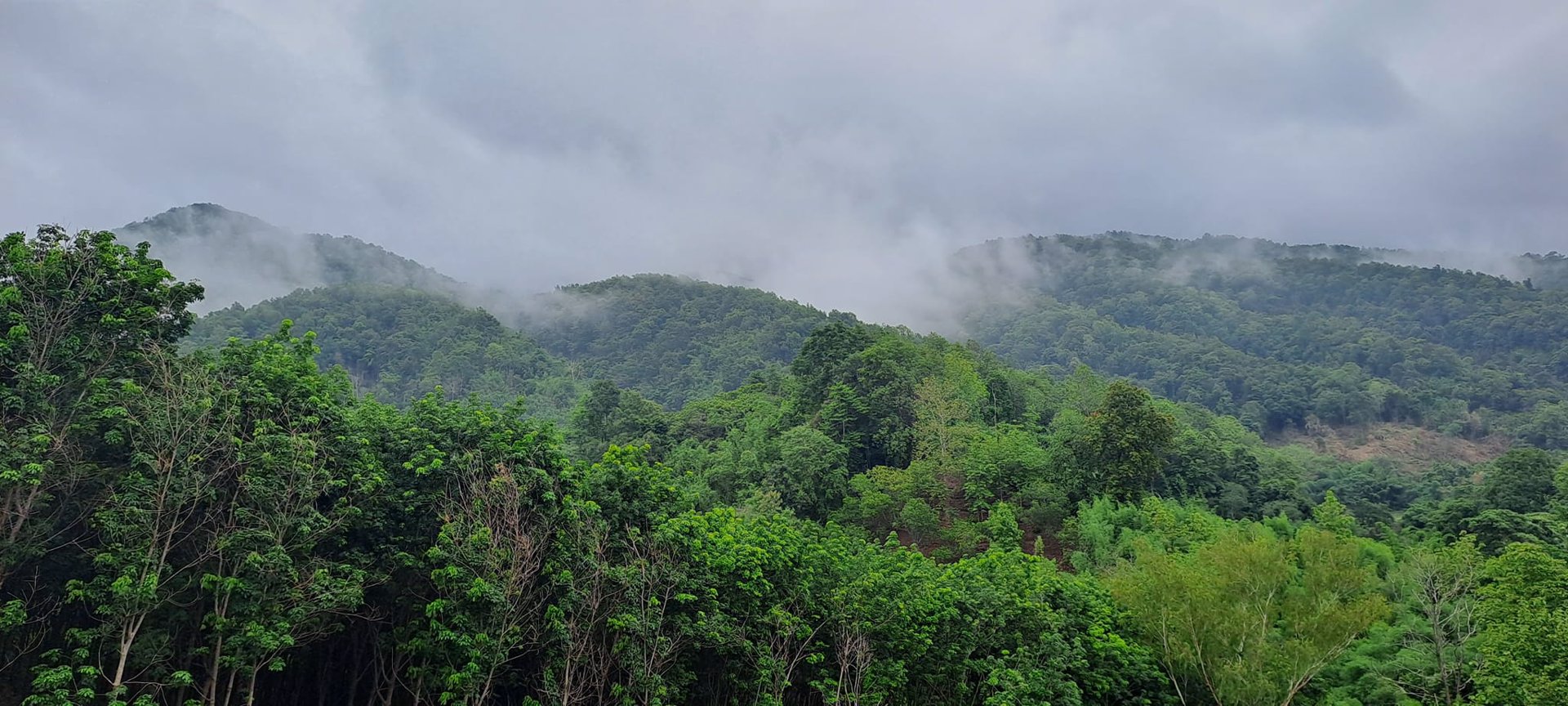 ขายที่ดิน-โฉนดครุฑแดง-วิวภูเขา-เนื้อที่-3ไร่-3งาน-35ตรว