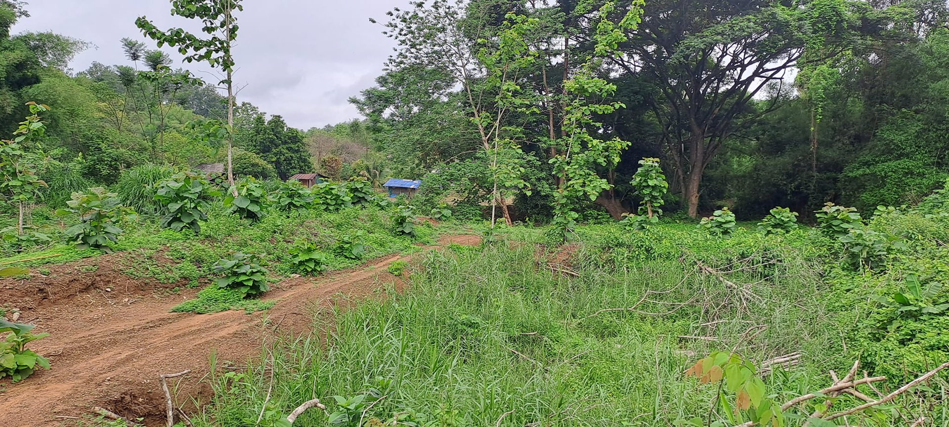 ขายที่ดิน-โฉนดครุฑแดง-วิวภูเขา-เนื้อที่-3ไร่-3งาน-35ตรว