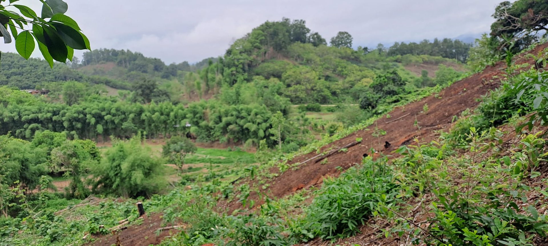 ขายที่ดิน-โฉนดครุฑแดง-วิวภูเขา-เนื้อที่-3ไร่-3งาน-35ตรว