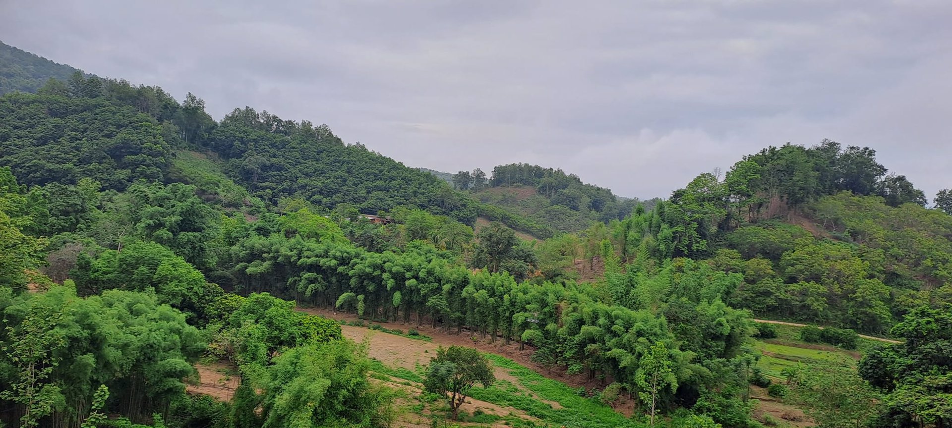 ขายที่ดิน-โฉนดครุฑแดง-วิวภูเขา-เนื้อที่-3ไร่-3งาน-35ตรว