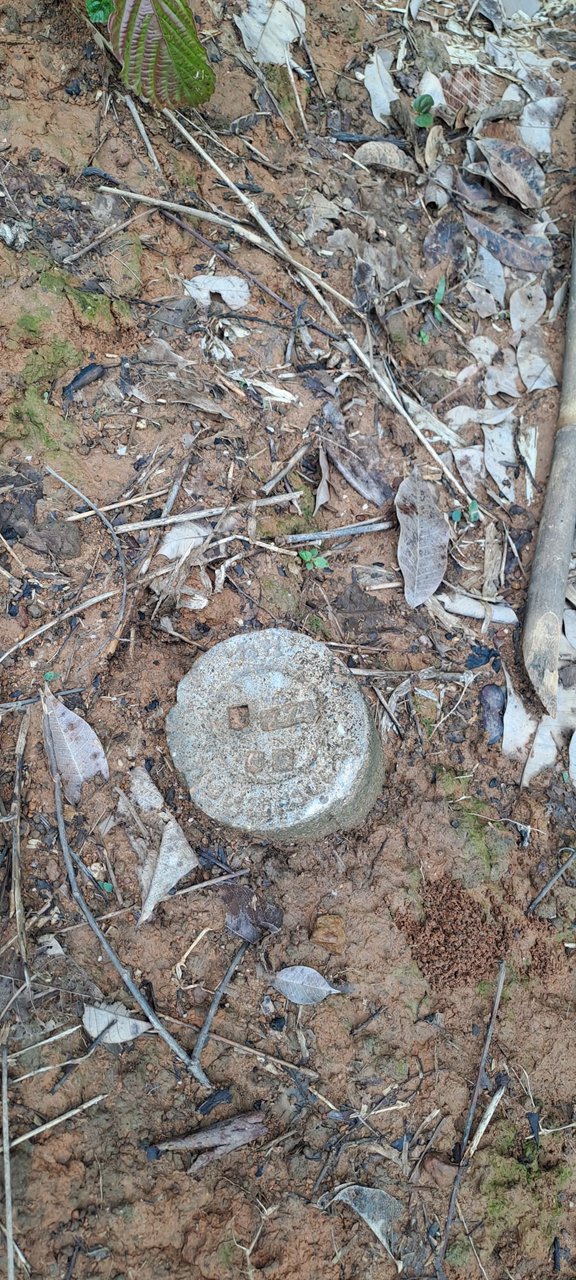 ขายที่ดิน-โฉนดครุฑแดง-วิวภูเขา-เนื้อที่-3ไร่-3งาน-35ตรว