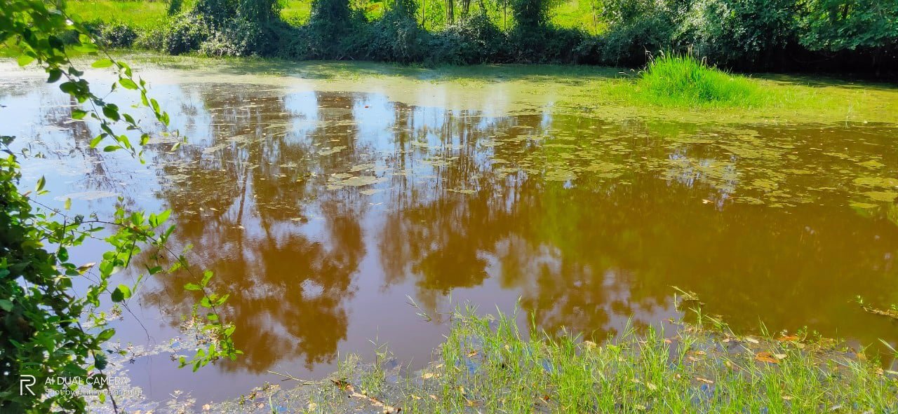 ที่ดิน-สวนยาง-6ไร่-1งาน-107-ตรว-พื้นที่-สีเขียว-เขต-ชากบก-บ้านค่าย