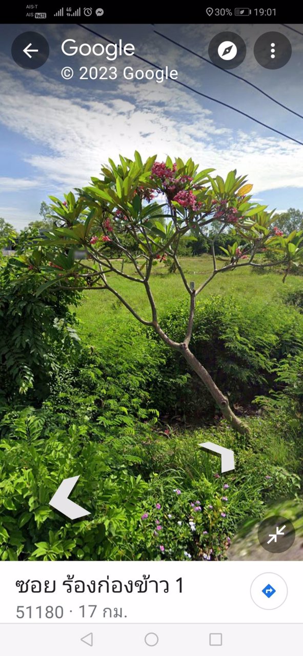 ท่านที่มองหาที่ดิน-100-ตรว-ติดถนน-1317-ใกล้สนามบินลานนา-ที่ดินแปลงสวย-บรรยากาศดี