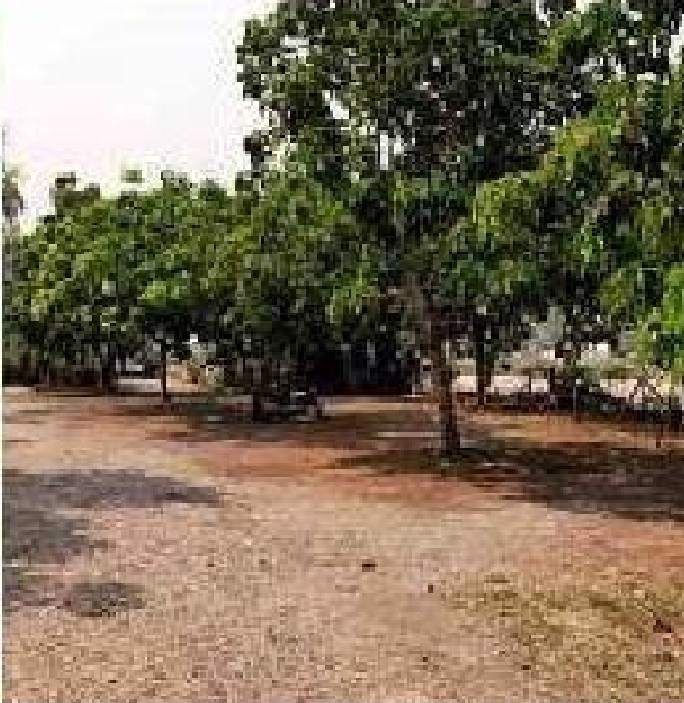 ขายที่ดินแปลงสวย-พร้อมบ้านและโฮมสเตย์-ที่-อแม่ริมเชียงใหม่ใกล้-สวนดอกไม้-ไอเลิฟฟลาวเวอร์