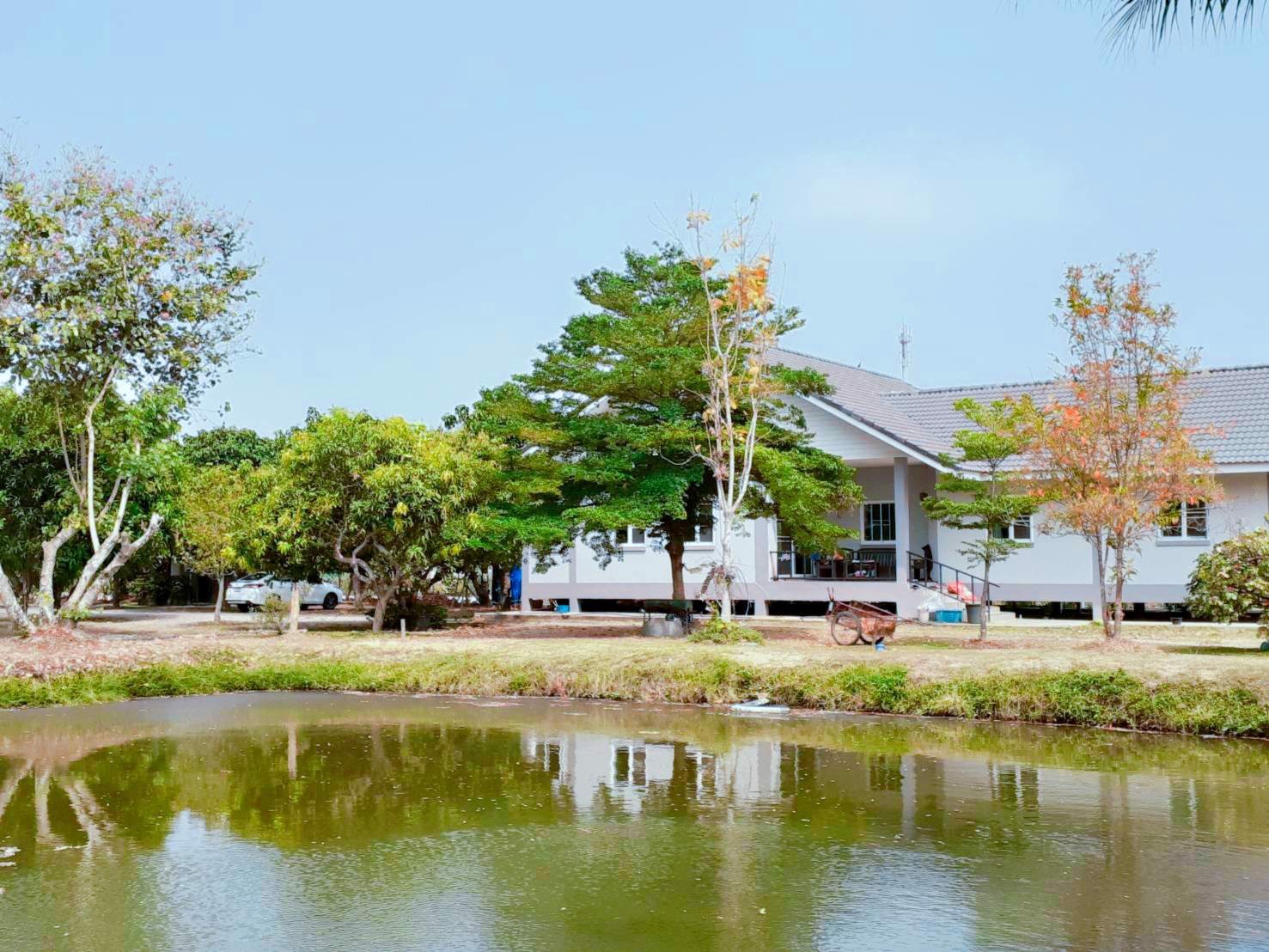 ขายที่ดินแปลงสวย-พร้อมบ้านและโฮมสเตย์-ที่-อแม่ริมเชียงใหม่ใกล้-สวนดอกไม้-ไอเลิฟฟลาวเวอร์