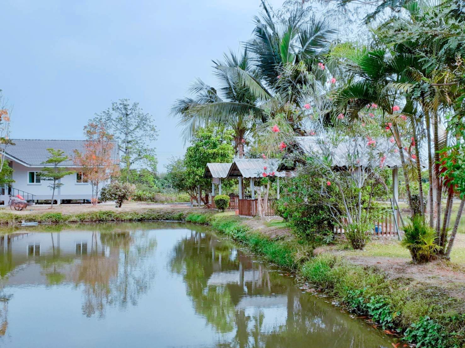 ขายที่ดินแปลงสวย-พร้อมบ้านและโฮมสเตย์-ที่-อแม่ริมเชียงใหม่ใกล้-สวนดอกไม้-ไอเลิฟฟลาวเวอร์