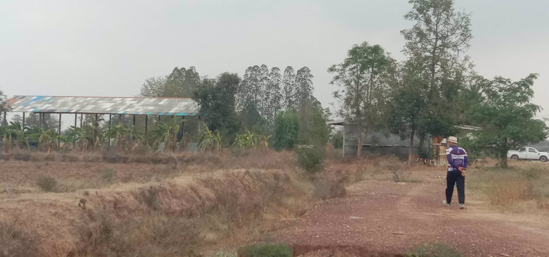 ขายด่วนๆ-ถูกมากๆ-ที่ดิน-52ไร่-มีน้ำไฟ-มีแหล่งน้ำ-มีวิวเขา-แถมบ้านให้ฟรีอีก3หลัง