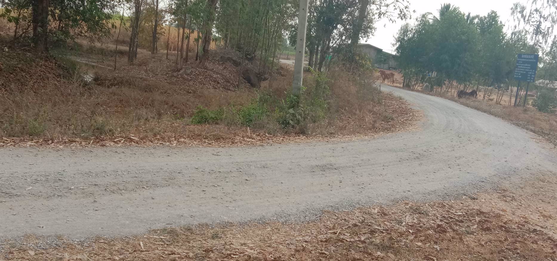 ขายด่วนๆ-ถูกมากๆ-ที่ดิน-52ไร่-มีน้ำไฟ-มีแหล่งน้ำ-มีวิวเขา-แถมบ้านให้ฟรีอีก3หลัง