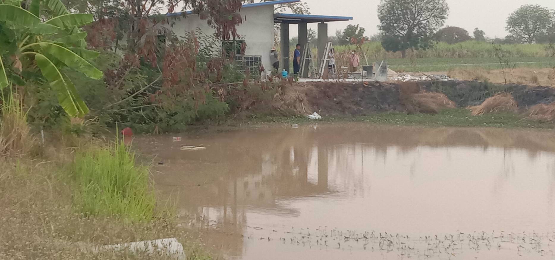 ขายด่วนๆ-ถูกมากๆ-ที่ดิน-52ไร่-มีน้ำไฟ-มีแหล่งน้ำ-มีวิวเขา-แถมบ้านให้ฟรีอีก3หลัง