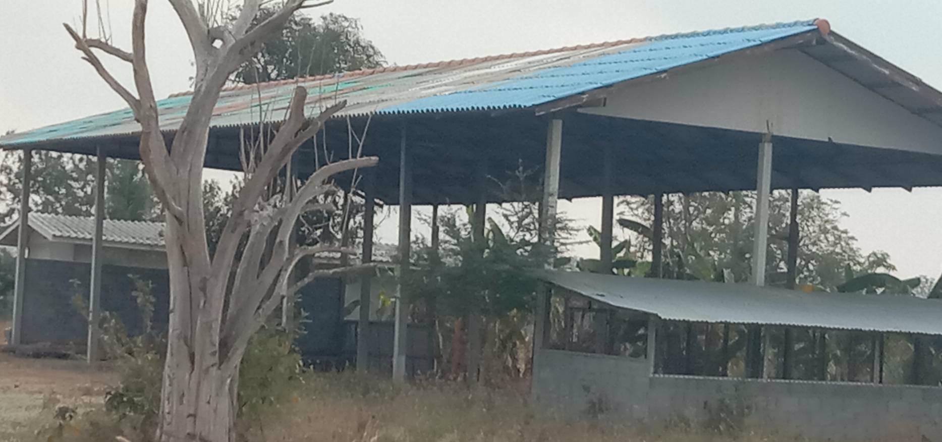 ขายด่วนๆ-ถูกมากๆ-ที่ดิน-52ไร่-มีน้ำไฟ-มีแหล่งน้ำ-มีวิวเขา-แถมบ้านให้ฟรีอีก3หลัง