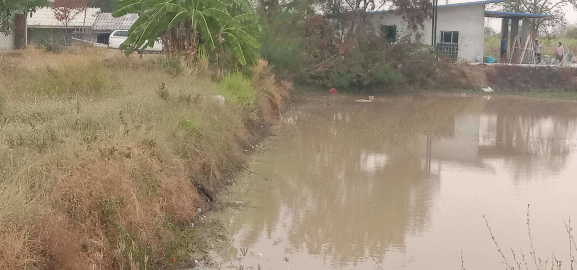 ขายด่วนๆ-ถูกมากๆ-ที่ดิน-52ไร่-มีน้ำไฟ-มีแหล่งน้ำ-มีวิวเขา-แถมบ้านให้ฟรีอีก3หลัง