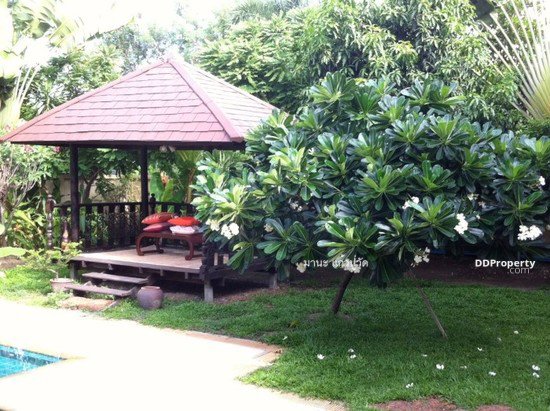 ให้เช่า-ด่วน-บ้านเดี่ยว2ชั้น-ตกแต่งสไตล์บาหลี-1ไร่กับ74ตรวถนนศรีนครินทร์45