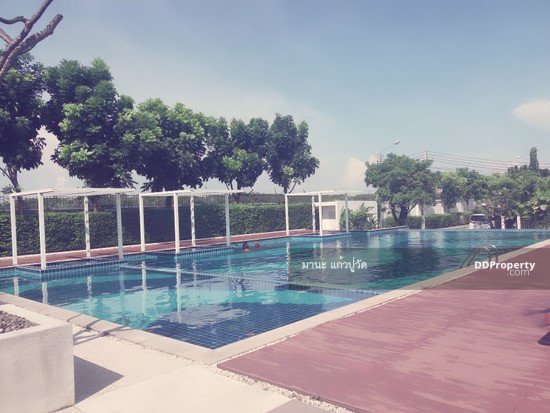 ให้เช่า-ด่วน-บ้านเดี่ยว2ชั้น-62ตรว-ถนน-วงแหวน-อ่อนนุช-ใกล้สนามบินสุวรรณภูมิ-ให้เช่า25000-เดือน