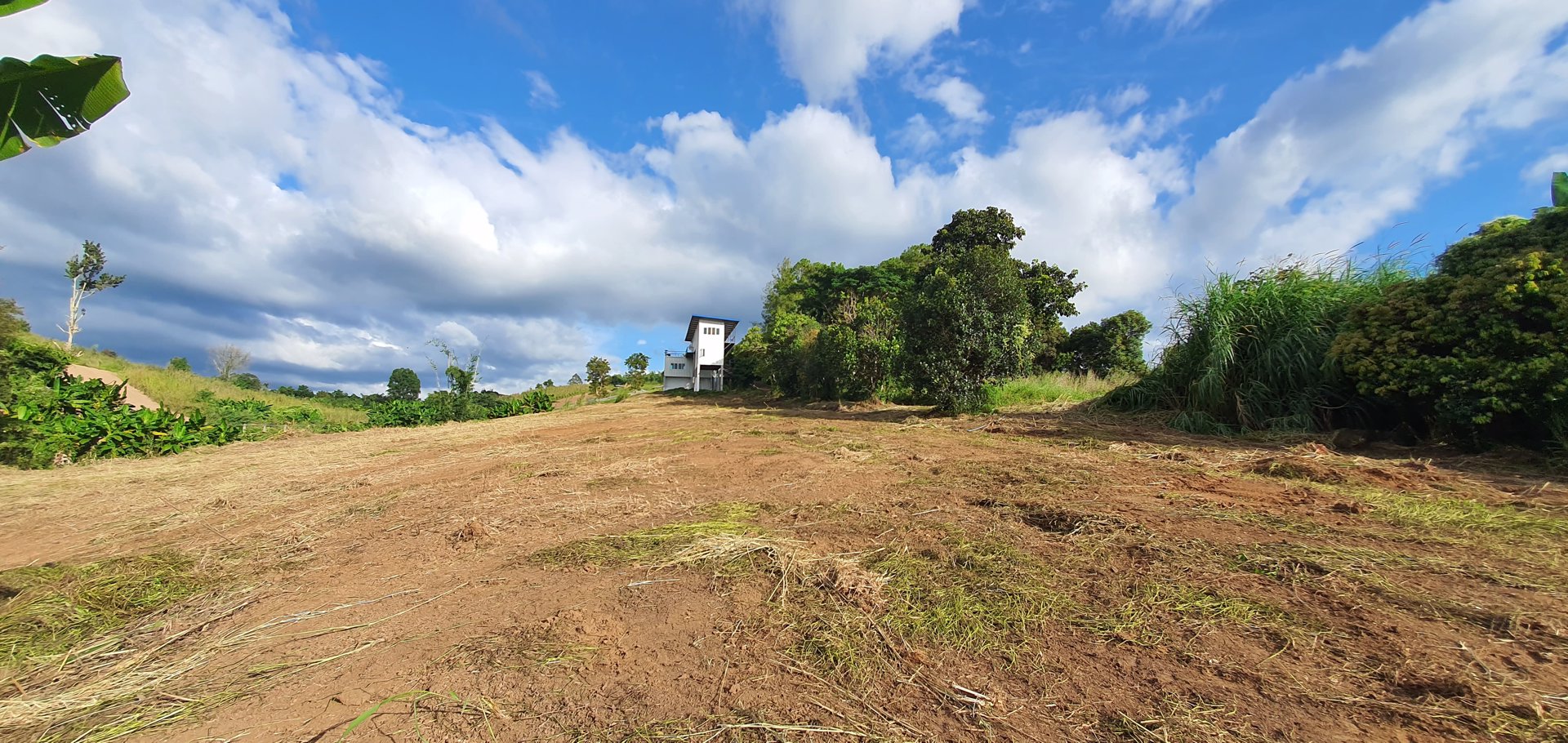 ขายบ้านพร้อมที่ดิน-โฉนดครุฑแดง-อเขาค้อ-เนื้อที่-3-ไร่-32-ตรวา-วิวกังหัน-ติดฝายทดน้ำ