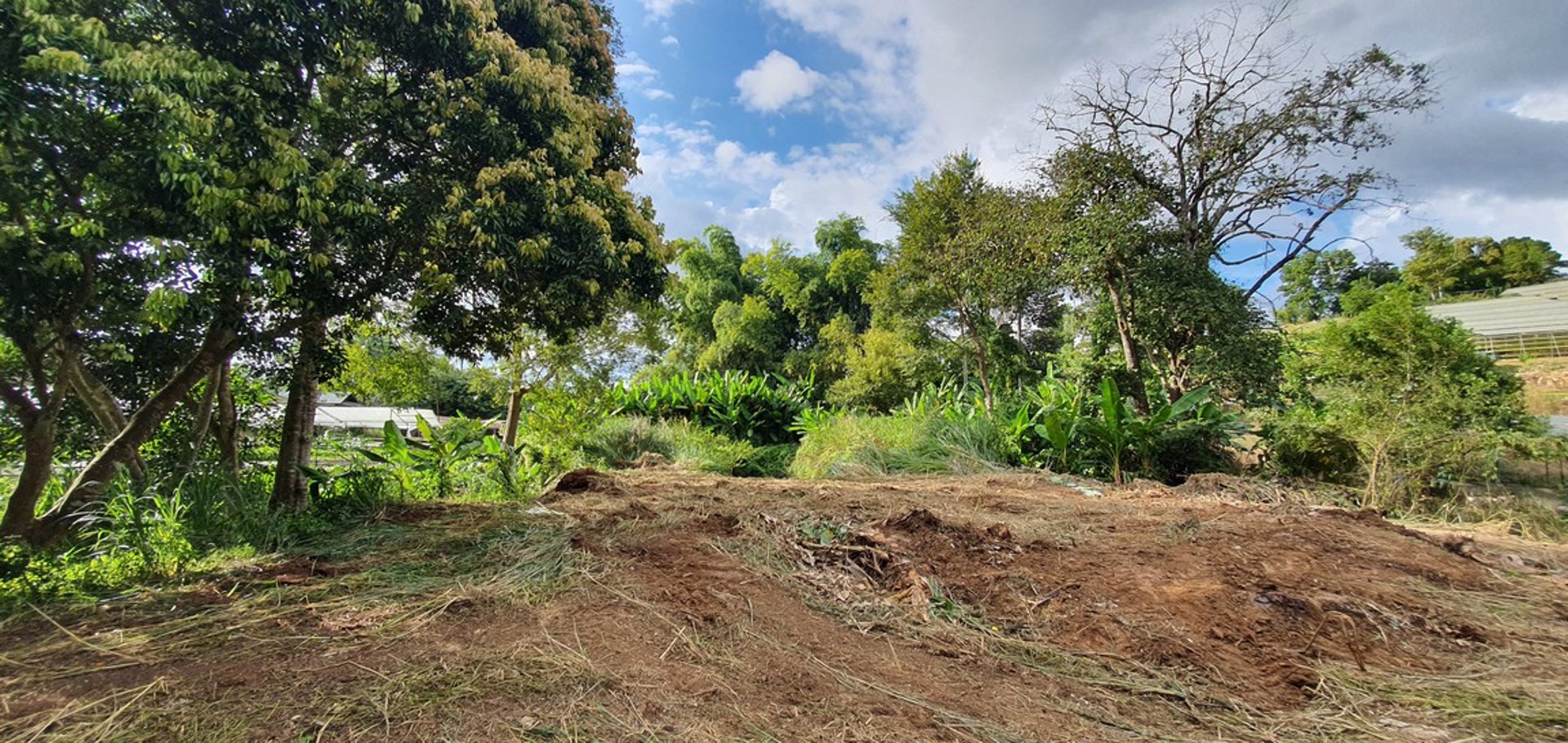 ขายที่ดินราคาถูก-โฉนดครุฑแดง-อเขาค้อ-เนื้อที่-3-ไร่-32-ตรวา-แบ่งขายได้-แถมบ้านฟรีมูลค่ากว่า-2-ล้าน