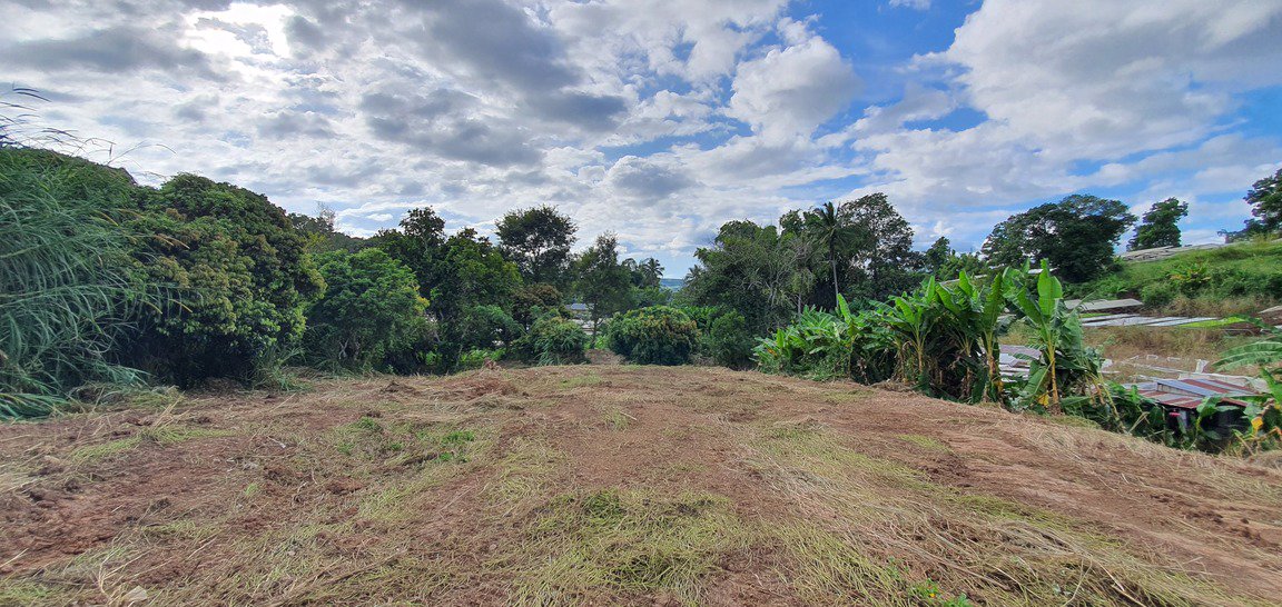 ขายที่ดินราคาถูก-โฉนดครุฑแดง-อเขาค้อ-เนื้อที่-3-ไร่-32-ตรวา-แบ่งขายได้-แถมบ้านฟรีมูลค่ากว่า-2-ล้าน