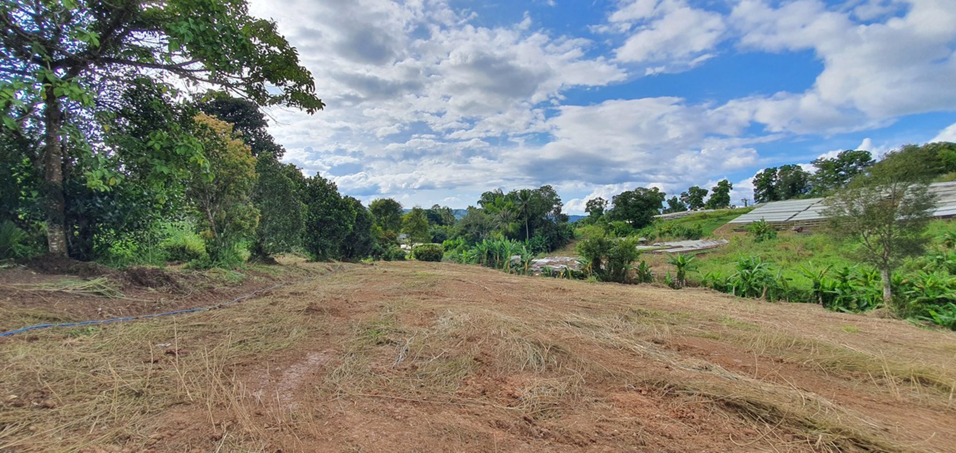 ขายที่ดินราคาถูก-โฉนดครุฑแดง-อเขาค้อ-เนื้อที่-3-ไร่-32-ตรวา-แบ่งขายได้-แถมบ้านฟรีมูลค่ากว่า-2-ล้าน