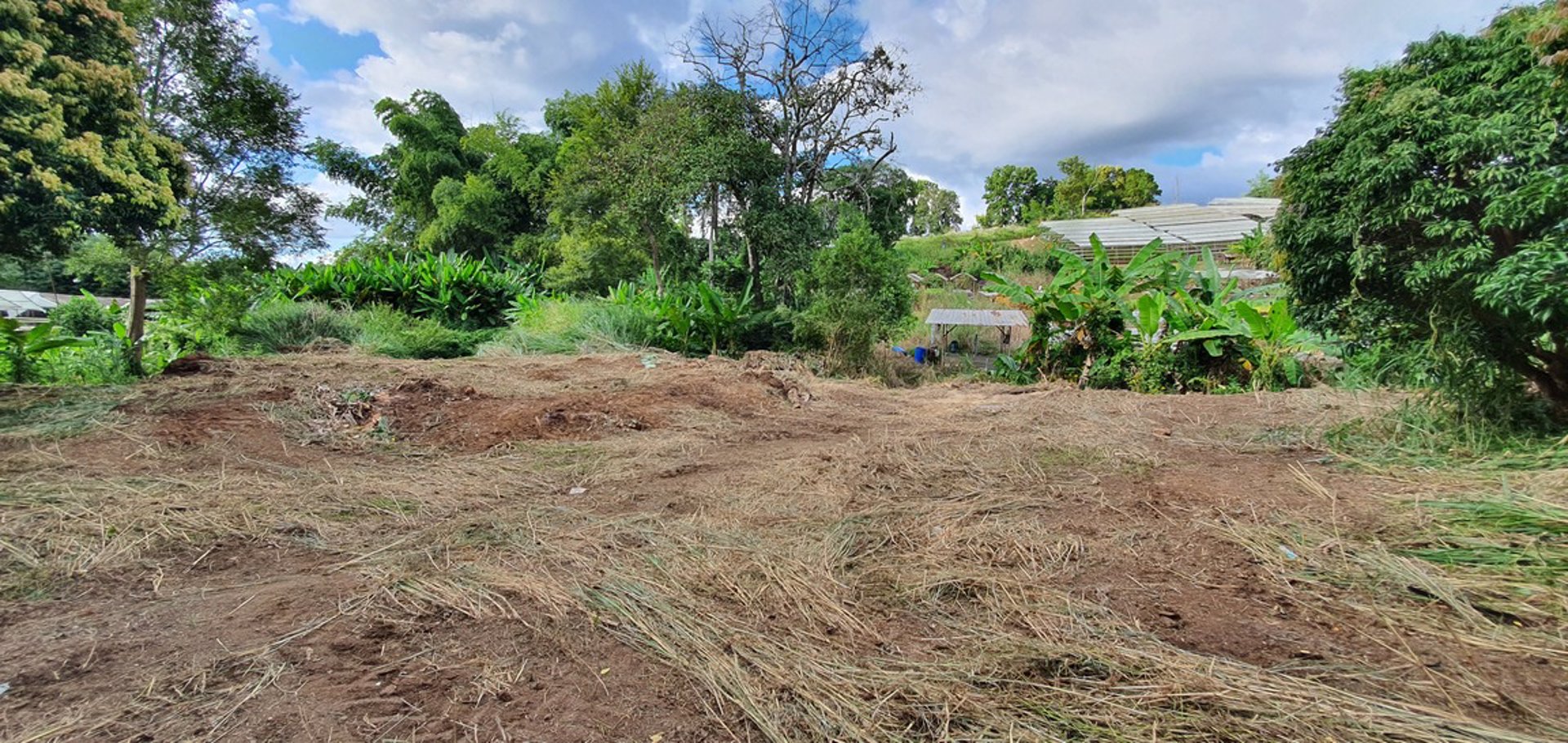 ขายที่ดินราคาถูก-โฉนดครุฑแดง-อเขาค้อ-เนื้อที่-3-ไร่-32-ตรวา-แบ่งขายได้-แถมบ้านฟรีมูลค่ากว่า-2-ล้าน