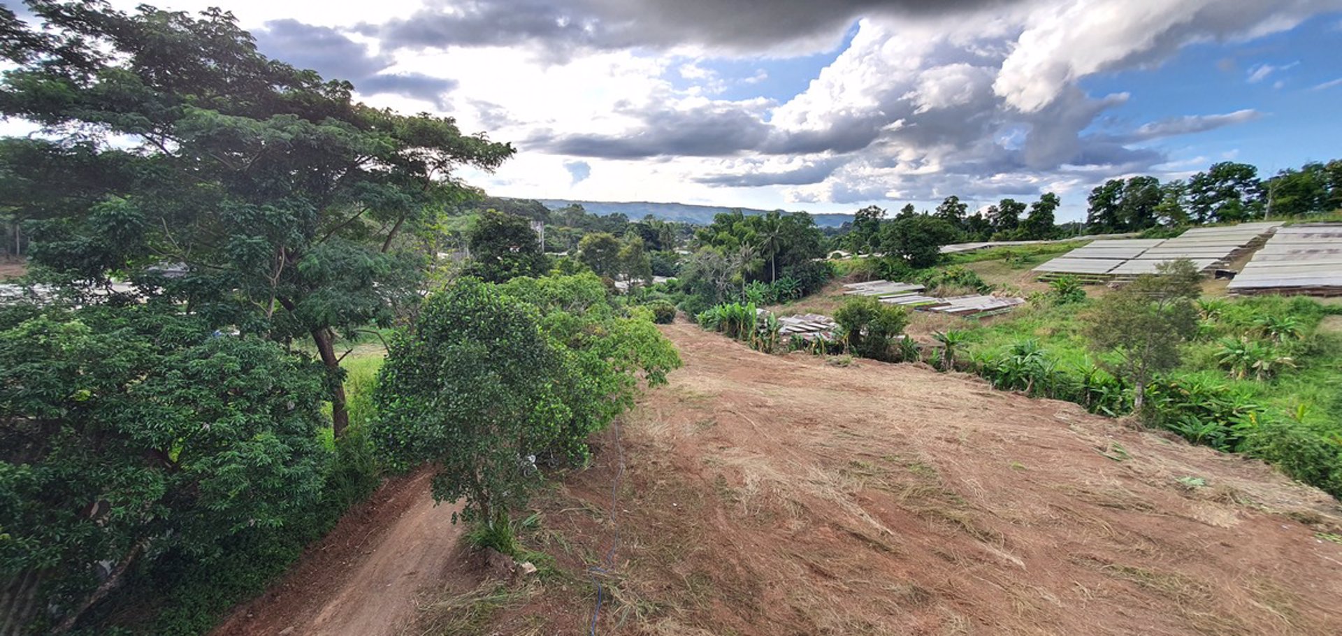 ขายที่ดินราคาถูก-โฉนดครุฑแดง-อเขาค้อ-เนื้อที่-3-ไร่-32-ตรวา-แบ่งขายได้-แถมบ้านฟรีมูลค่ากว่า-2-ล้าน