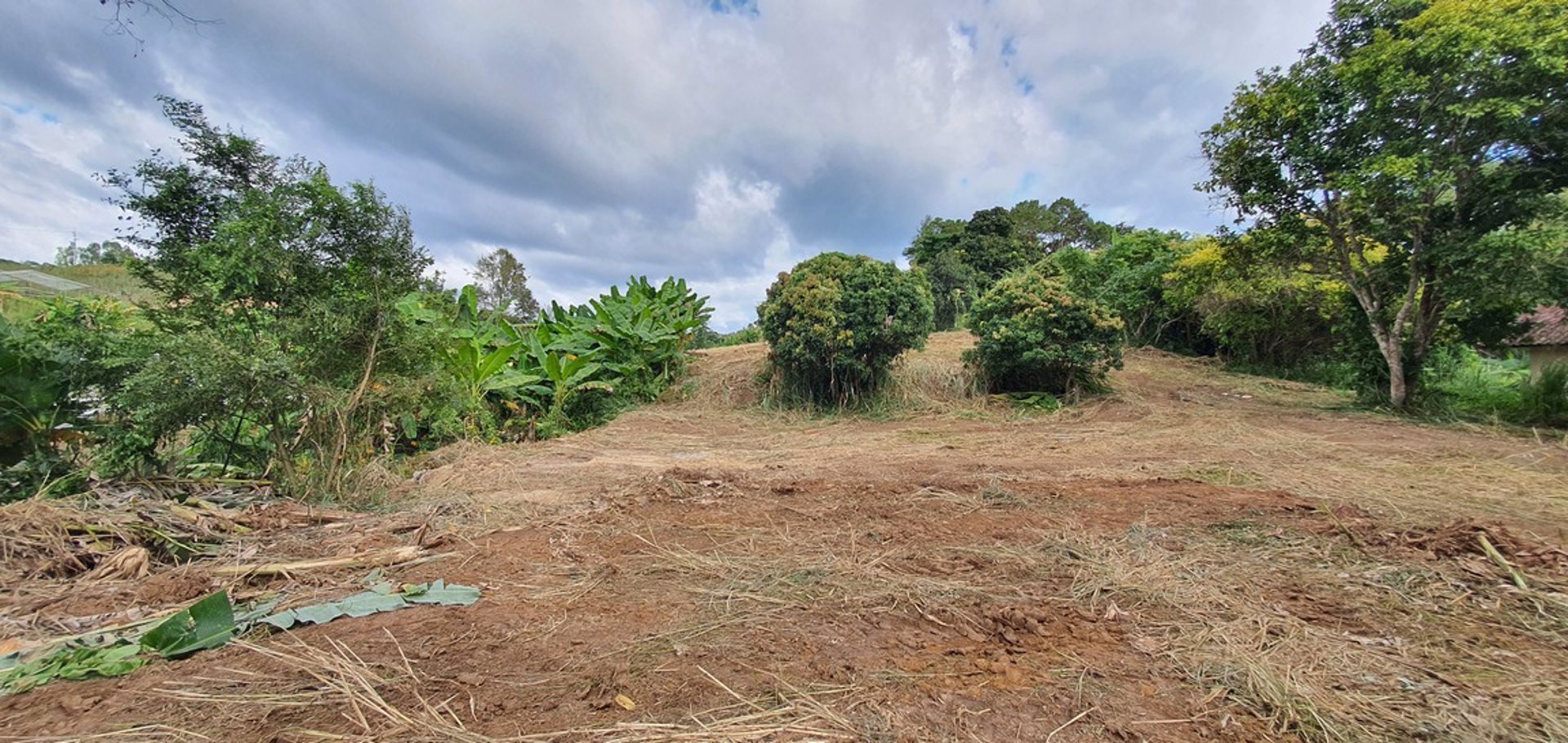 ขายที่ดินราคาถูก-โฉนดครุฑแดง-อเขาค้อ-เนื้อที่-3-ไร่-32-ตรวา-แบ่งขายได้-แถมบ้านฟรีมูลค่ากว่า-2-ล้าน