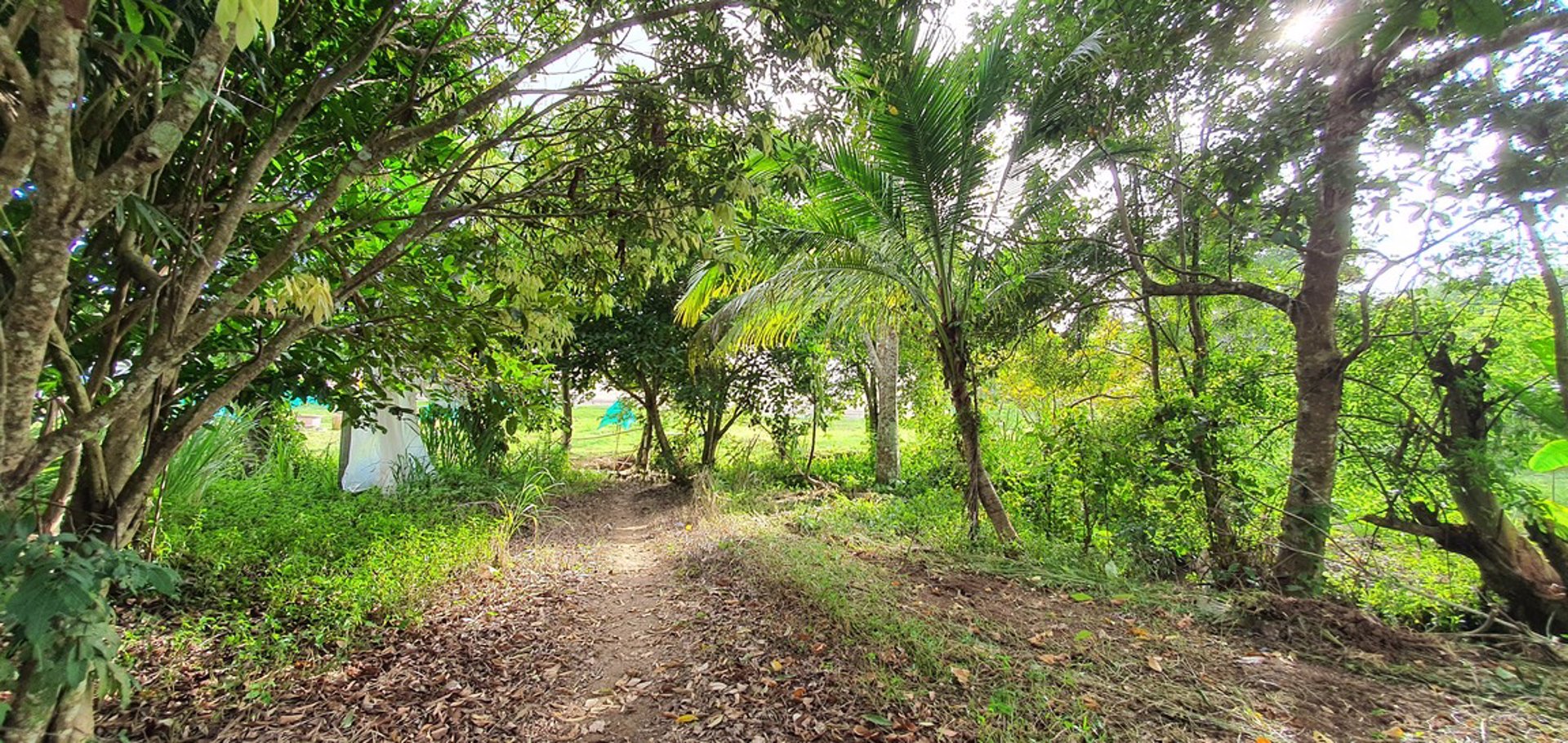 ขายที่ดินราคาถูก-โฉนดครุฑแดง-อเขาค้อ-เนื้อที่-3-ไร่-32-ตรวา-แบ่งขายได้-แถมบ้านฟรีมูลค่ากว่า-2-ล้าน