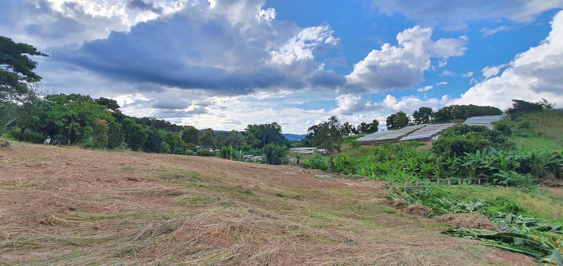 ขายที่ดินราคาถูก-โฉนดครุฑแดง-อเขาค้อ-เนื้อที่-3-ไร่-32-ตรวา-แบ่งขายได้-แถมบ้านฟรีมูลค่ากว่า-2-ล้าน