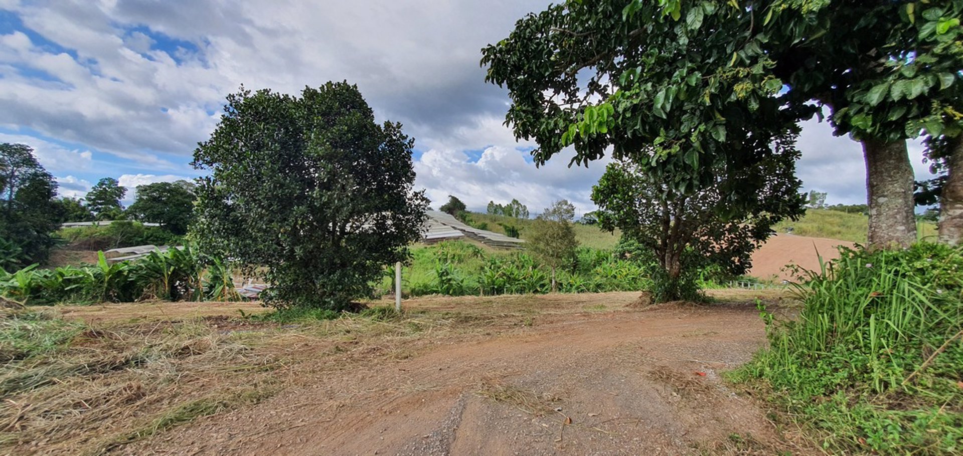 ขายที่ดินราคาถูก-โฉนดครุฑแดง-อเขาค้อ-เนื้อที่-3-ไร่-32-ตรวา-แบ่งขายได้-แถมบ้านฟรีมูลค่ากว่า-2-ล้าน