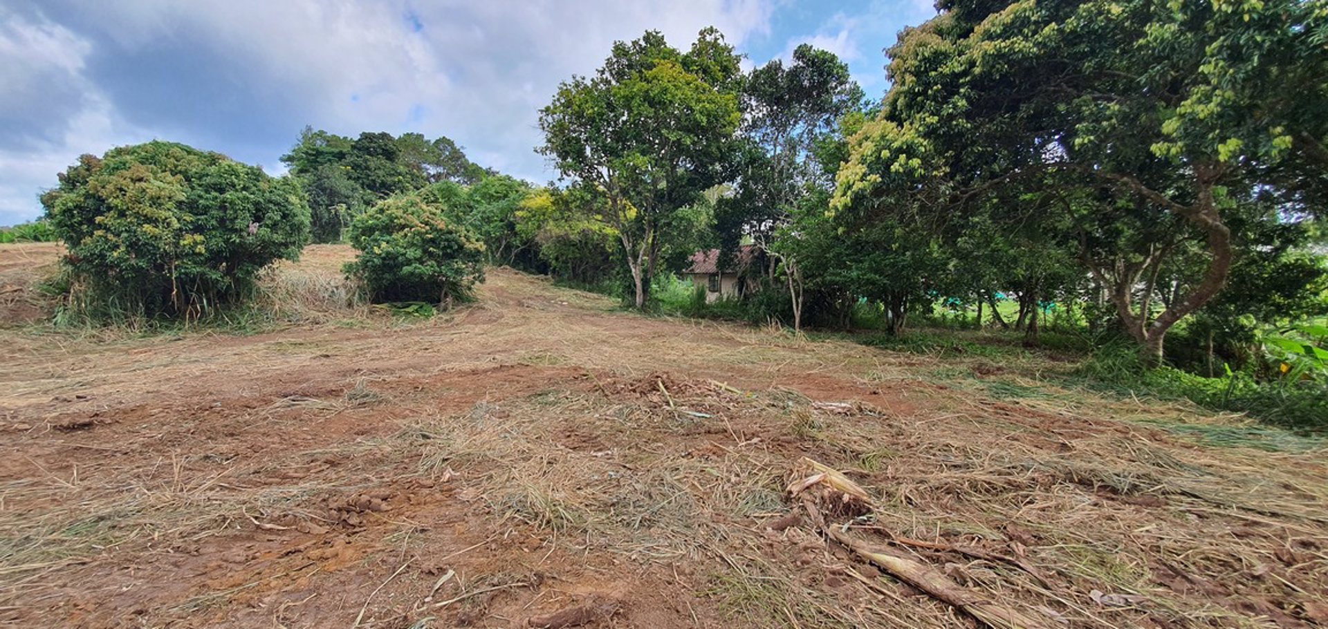 ขายที่ดินราคาถูก-โฉนดครุฑแดง-อเขาค้อ-เนื้อที่-3-ไร่-32-ตรวา-แบ่งขายได้-แถมบ้านฟรีมูลค่ากว่า-2-ล้าน