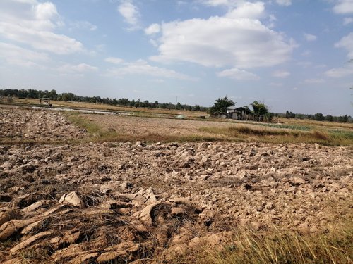 ขายที่ดิน-27-ไร่-2-งาน-53-ตรว-เหมาะกับการเพาะปลูก-ตนางาม-อเรณูนคร-จนครพนม