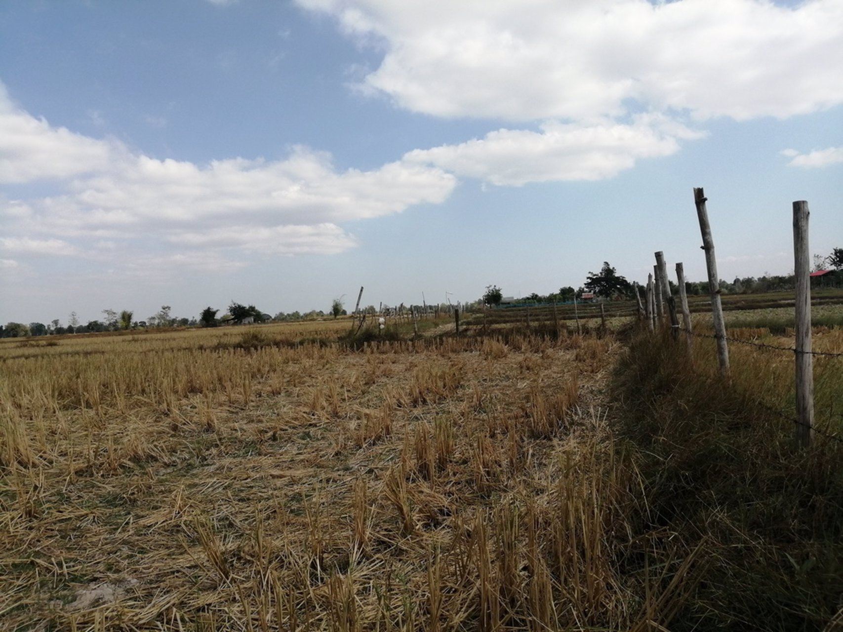 ขายที่ดิน-27-ไร่-2-งาน-53-ตรว-เหมาะกับการเพาะปลูก-ตนางาม-อเรณูนคร-จนครพนม