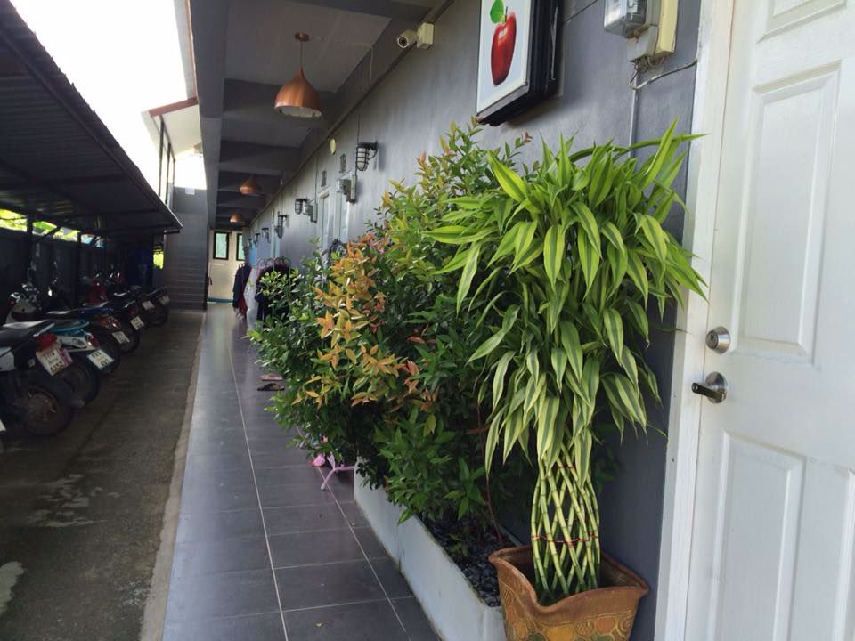 หอพักราคาคุ้มเหมาะสำหรับลงทุ่น-พร้อมรายได้หลังการซื้อ