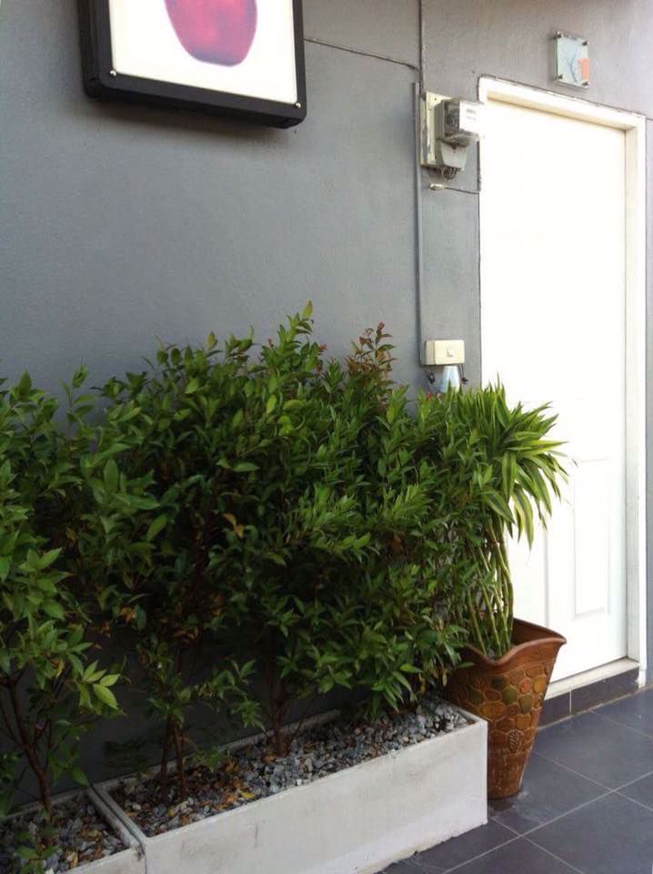 หอพักราคาคุ้มเหมาะสำหรับลงทุ่น-พร้อมรายได้หลังการซื้อ